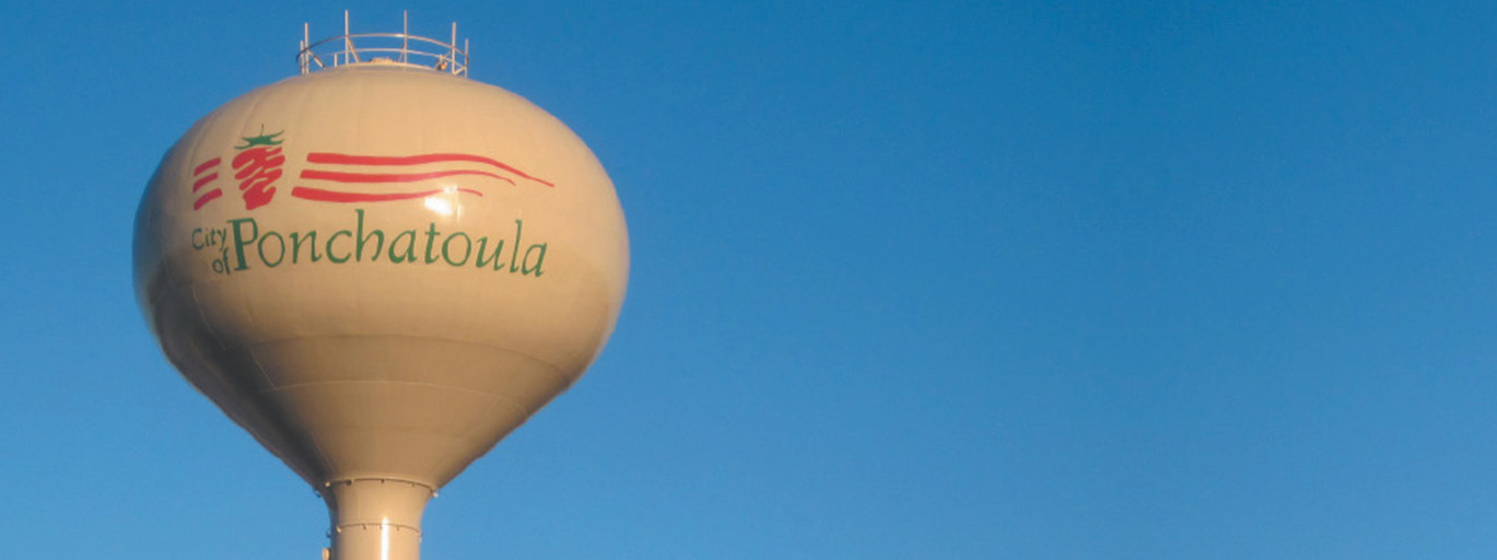 Single Pedestal Tanks Phoenix Fabricators